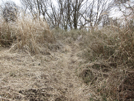 20190214hike (91)